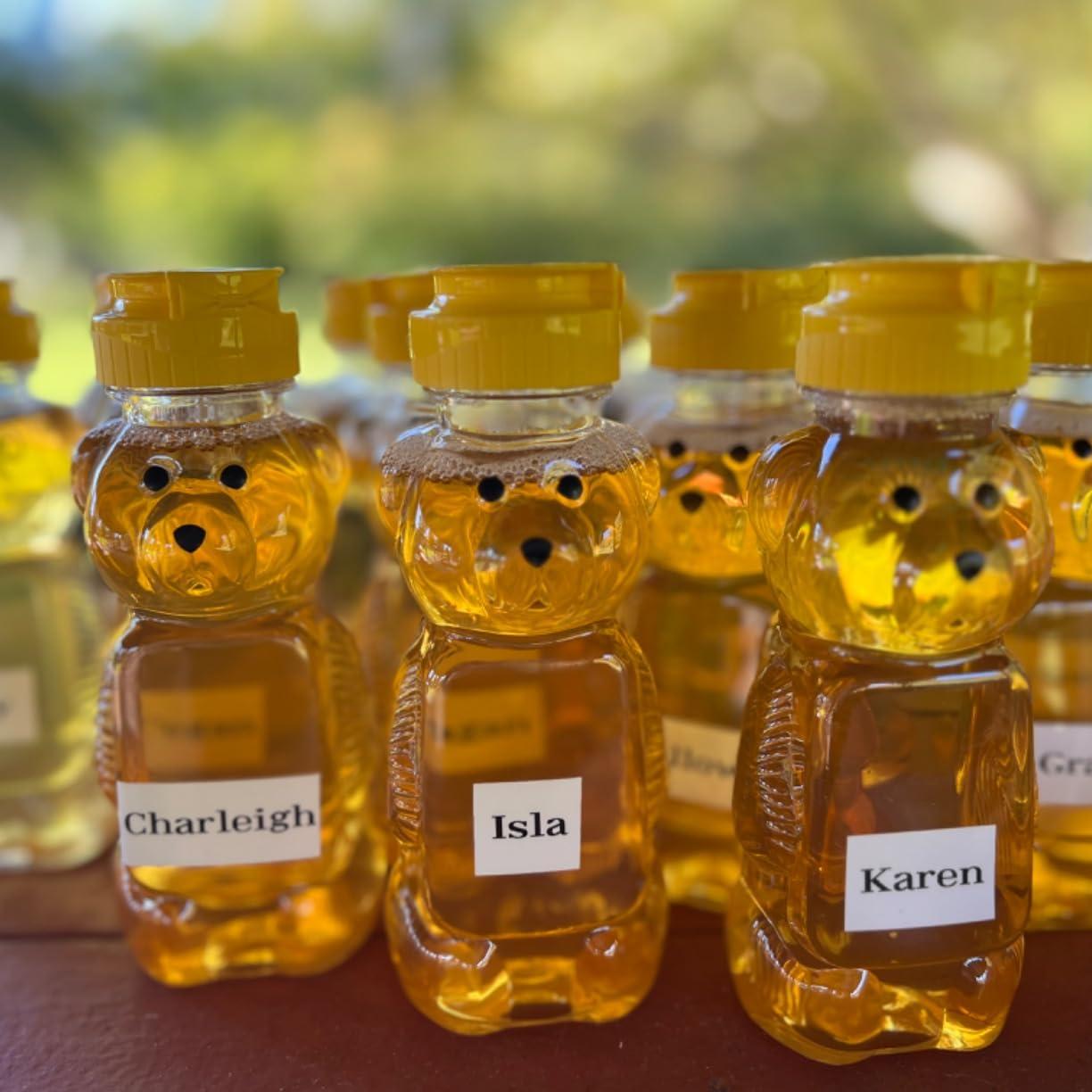 Pots de miel ours en plastique - Mason Jar 8Oz avis et prix